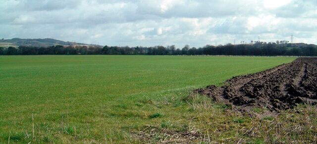 Anyone for turf? Most of the land in this square is used for growing turf.