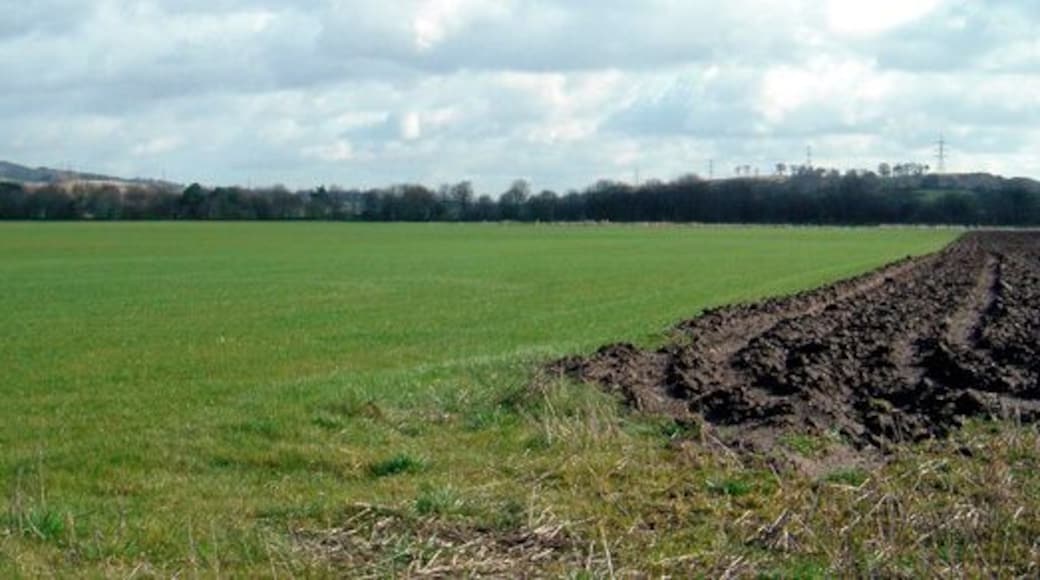 Anyone for turf? Most of the land in this square is used for growing turf.