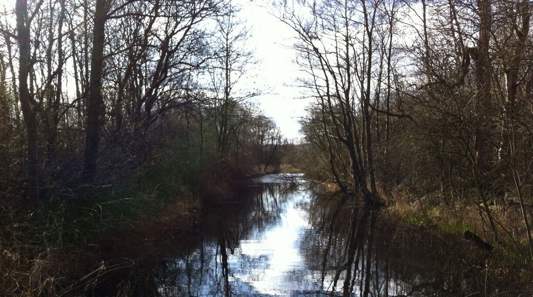 Loch Ore Meadows