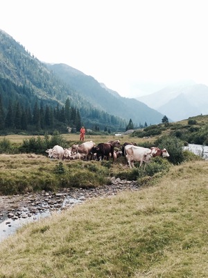 📍Val di Daone - Parco Adamello Brenta.
Italy 🇮🇹