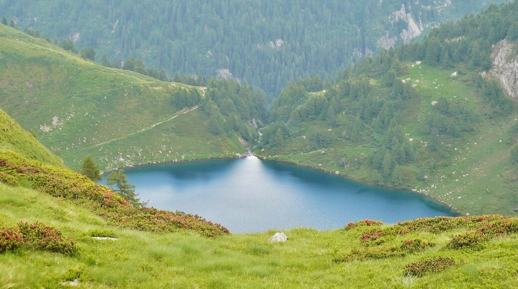 Lago di Campo