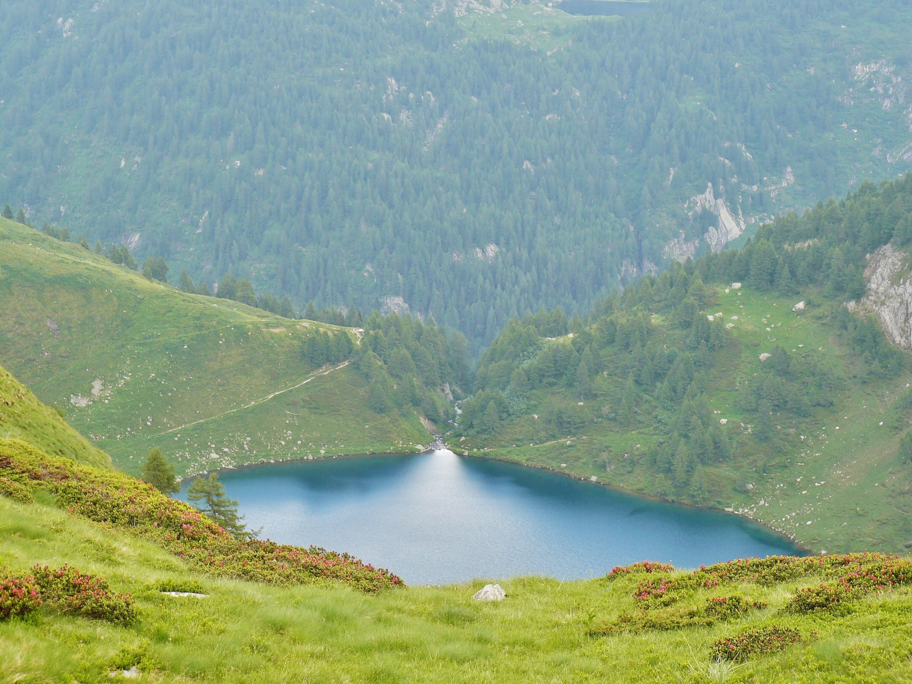 A lake surrounded by green hills and dense forests.