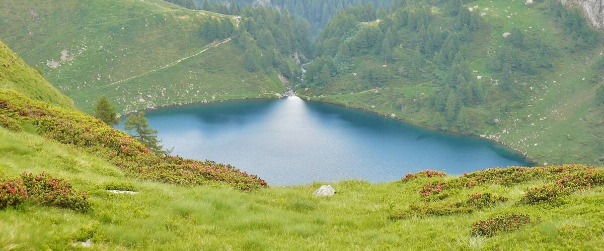A lake surrounded by green hills and dense forests.