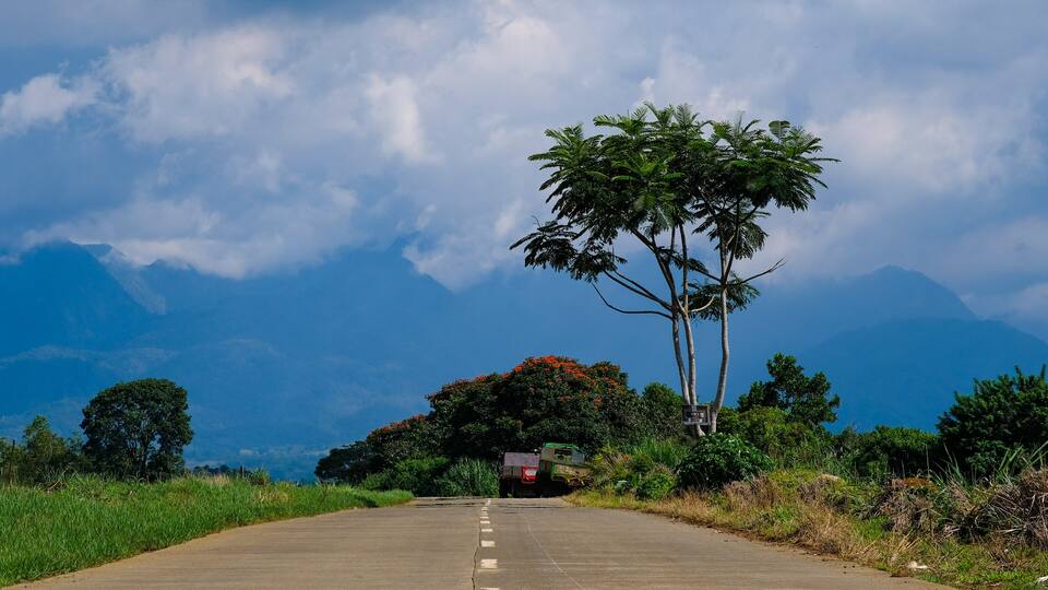 Road passing by the pineapple fields in Bukidnon, Philippines.