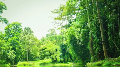 Let's get lost here. I'm falling in love with this place.
Slow clap. I have no words for a beauty like this. Maybe I'll never even be able to explain sufficiently how wonderful it is to be here. This is Nasuli Spring Resort. It is both a spring and a lagoon. It is surrounded by lush greeneries. The water is blue (but with a tinge of green) and measures about 15 feet deep. I have been here and I can say that the freshwater lagoon is icy cold even during the hottest time of day. What makes this special is its being uncharted. Not too many locals and tourists come here. Why not? That I don't know.
But that is why I am writing about Nasuli Spring Resort. Since this is uncommonly frequented, I want to make this known to everybody. I'd love to share this wonder with you. I may have caught bad light when I took this photo, but if you'd take time to actually search this on the Internet, you'll see that Nasuli Spring is indescribable.
According to HubPages, Nasuli is a Bisayan term which means “reversed.” The local folks named the place ‘nasuli’ because the spring’s headwaters' elevation is much lower than the lagoon. It seems that the water is flowing in reverse, thus the name ‘nasuli.’
It's quiet here. The fishes are all friendly. Yes, that's true. They'll voluntarily come to you and bite your toes or your leg while you are busy talking to your friends about how good this earthporn is. But do not worry. You'll eventually understand that their bites are like welcome statements *smiles* (they are tiny anyway)! You can even feed them. My friends and I had a good time feeding them with Rambutan seeds.
You could want to cry here, write a song or poetry, paint, dance, reminisce, get emotional or just sleep. This is an exit from the busy world. It also gave me the thought that places like this -- the ones that are almost secret and uncharted -- are the best places to travel. Literally, your heart and soul unexpectedly harmonize when you see this.
For your information, Nasuli Spring Resort is located in Barangay (village) Bangcud, Malaybalay City, Bukidnon. I hope that one day, you'll find your way to this site.
Happy travels,
Star, Iligan City, PH
#localgem