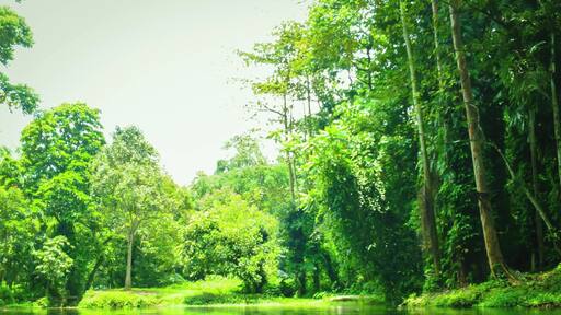 Let's get lost here. I'm falling in love with this place.
Slow clap. I have no words for a beauty like this. Maybe I'll never even be able to explain sufficiently how wonderful it is to be here. This is Nasuli Spring Resort. It is both a spring and a lagoon. It is surrounded by lush greeneries. The water is blue (but with a tinge of green) and measures about 15 feet deep. I have been here and I can say that the freshwater lagoon is icy cold even during the hottest time of day. What makes this special is its being uncharted. Not too many locals and tourists come here. Why not? That I don't know.
But that is why I am writing about Nasuli Spring Resort. Since this is uncommonly frequented, I want to make this known to everybody. I'd love to share this wonder with you. I may have caught bad light when I took this photo, but if you'd take time to actually search this on the Internet, you'll see that Nasuli Spring is indescribable.
According to HubPages, Nasuli is a Bisayan term which means “reversed.” The local folks named the place ‘nasuli’ because the spring’s headwaters' elevation is much lower than the lagoon. It seems that the water is flowing in reverse, thus the name ‘nasuli.’
It's quiet here. The fishes are all friendly. Yes, that's true. They'll voluntarily come to you and bite your toes or your leg while you are busy talking to your friends about how good this earthporn is. But do not worry. You'll eventually understand that their bites are like welcome statements *smiles* (they are tiny anyway)! You can even feed them. My friends and I had a good time feeding them with Rambutan seeds.
You could want to cry here, write a song or poetry, paint, dance, reminisce, get emotional or just sleep. This is an exit from the busy world. It also gave me the thought that places like this -- the ones that are almost secret and uncharted -- are the best places to travel. Literally, your heart and soul unexpectedly harmonize when you see this.
For your information, Nasuli Spring Resort is located in Barangay (village) Bangcud, Malaybalay City, Bukidnon. I hope that one day, you'll find your way to this site.
Happy travels,
Star, Iligan City, PH
#localgem