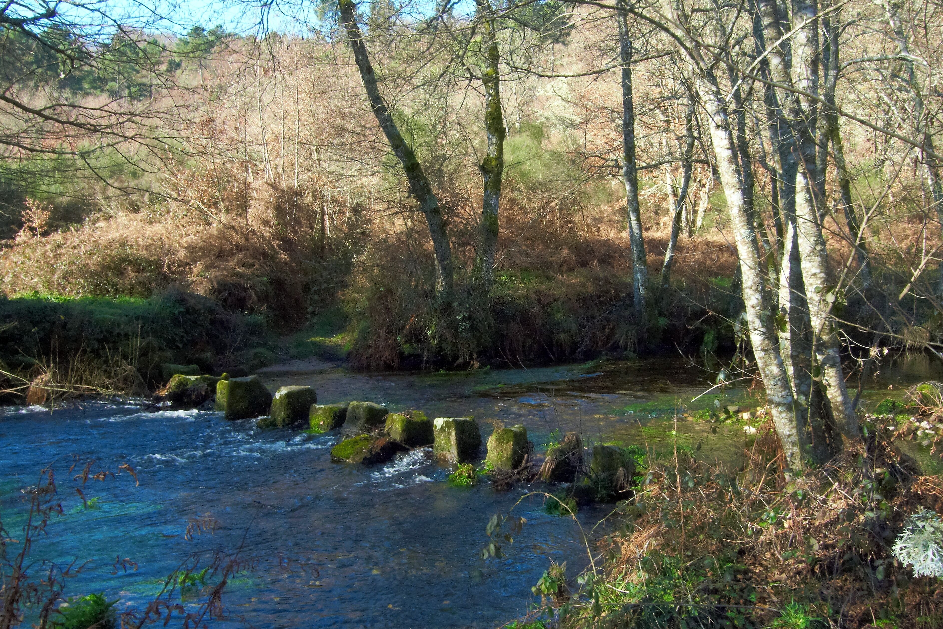 A river with clear water, surrounded by trees and moss-covered rocks.
