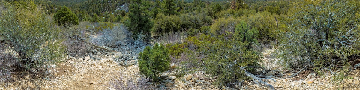 Mountain lake and sky view in Big Bear California
