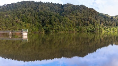 Hunua Ranges Regional Park panorama, Auckland, New Zealand
