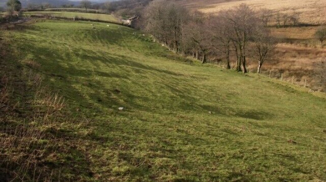 Nant Gwinau The diminutive Nant Gwinau marks the boundary between open moorland and farmland here west of Brynaman. The moorland forms the southern slopes of the Black Mountain and lies within the Brecon Beacons National Park http://www.breconbeacons.org and Fforest Fawr Geopark http://www.fforestfawrgeopark.org.uk