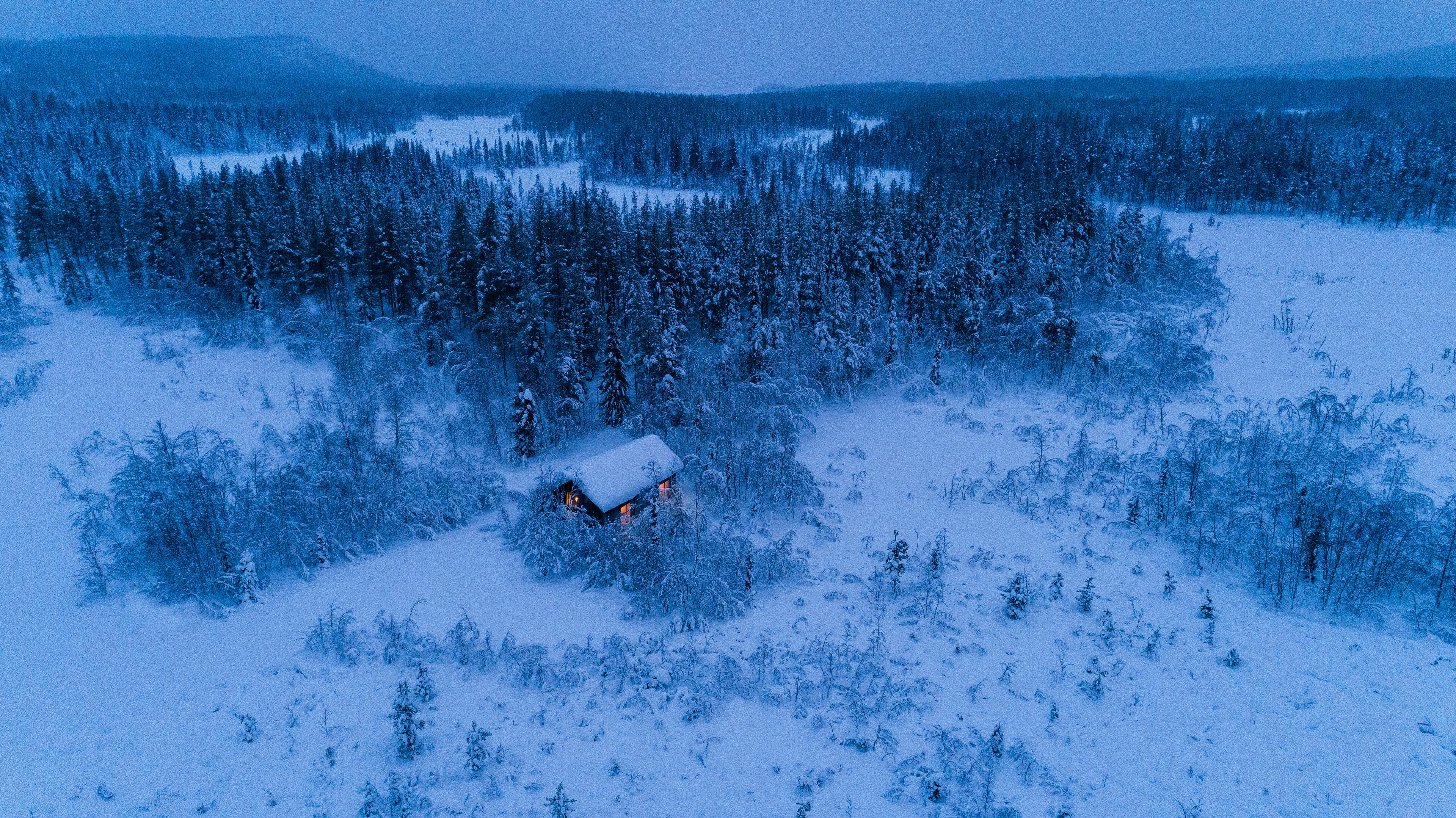 A snow-covered forest with a cabin in the middle.