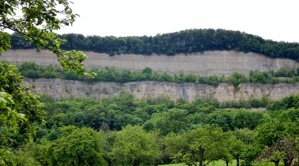 1902 begann das Zementwerk Nรผrtingen am Hรถrnle mit dem Abbau von Kalkstein und Mergel. Ende der 1970er-Jahre wurde der aufgelassene Steinbruch rekultiviert: Zur optischen Gestaltung der bis zu 130 Meter hohen Felswand pflanzte man auf den vier Bermen (Absรคtzen) Gehรถlze an. Seit 1980 entwickelt sich der Steinbruch fast ohne menschlichen Einfluss.