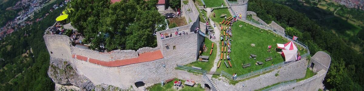Une vue aérienne d’un château historique, avec un toit recouvert de tuiles rouges, entouré d’une végétation luxuriante et d’un petit village en arrière-plan.
