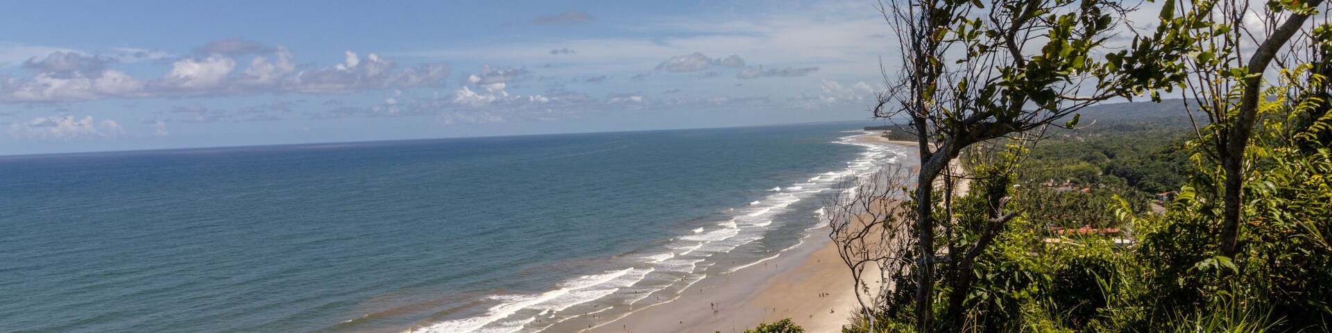 A coastal landscape with a beach, ocean waves, and surrounding greenery.
