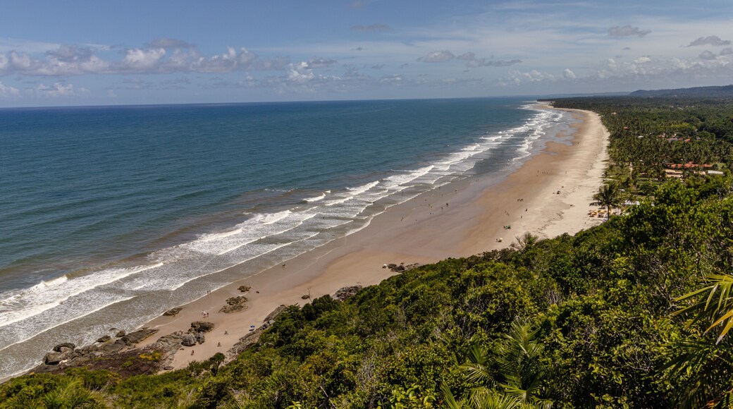 natural landscape in the city of Uruçuca, south coast of Bahia state, Brazil