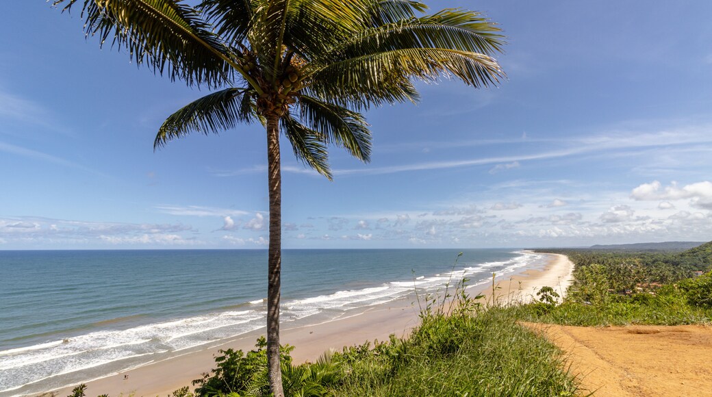 natural landscape in the city of Uruçuca, south coast of Bahia state, Brazil