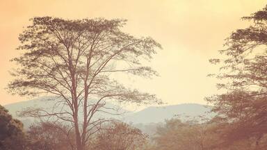 As the sun begins to rise and the mist lifts off the surrounding bush, a young boy rides his bicycle between two villages on his way to school.
Katavi, Tanzania
#TanganyikaPaddle #expedition
#Africa #sunrise #Katavi #Tanzania #WhyILoveAfrica