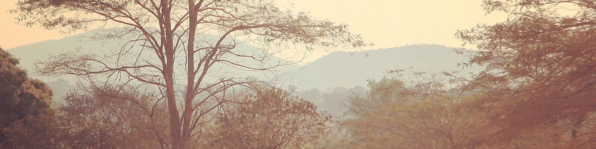 As the sun begins to rise and the mist lifts off the surrounding bush, a young boy rides his bicycle between two villages on his way to school.
Katavi, Tanzania
#TanganyikaPaddle #expedition
#Africa #sunrise #Katavi #Tanzania #WhyILoveAfrica