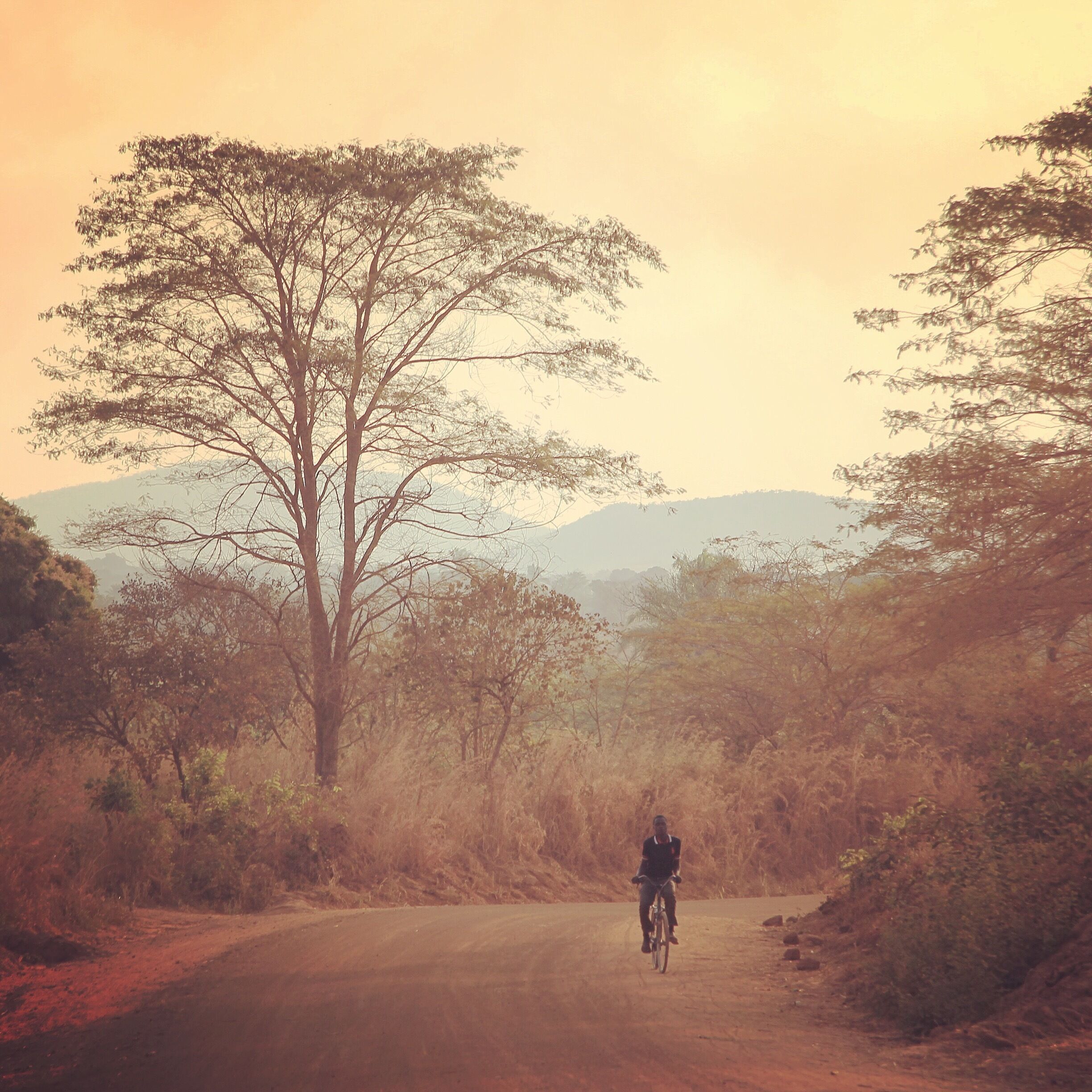 A person riding a bicycle on a dirt road surrounded by trees and hills.