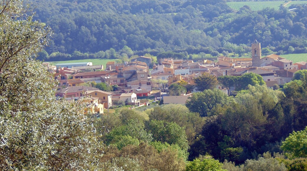 Ermita de la Mare de Déu de Vida (Cistella)