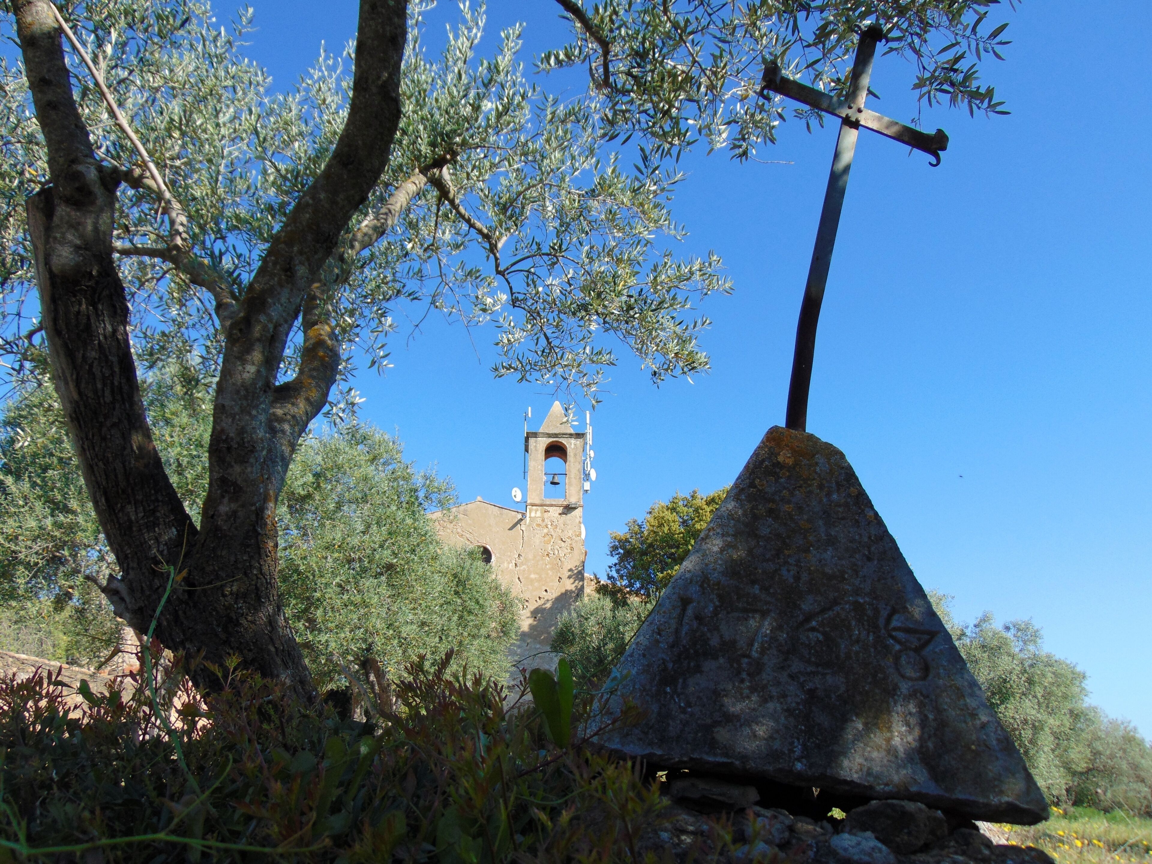 A stone cross, olive trees, and a church tower.