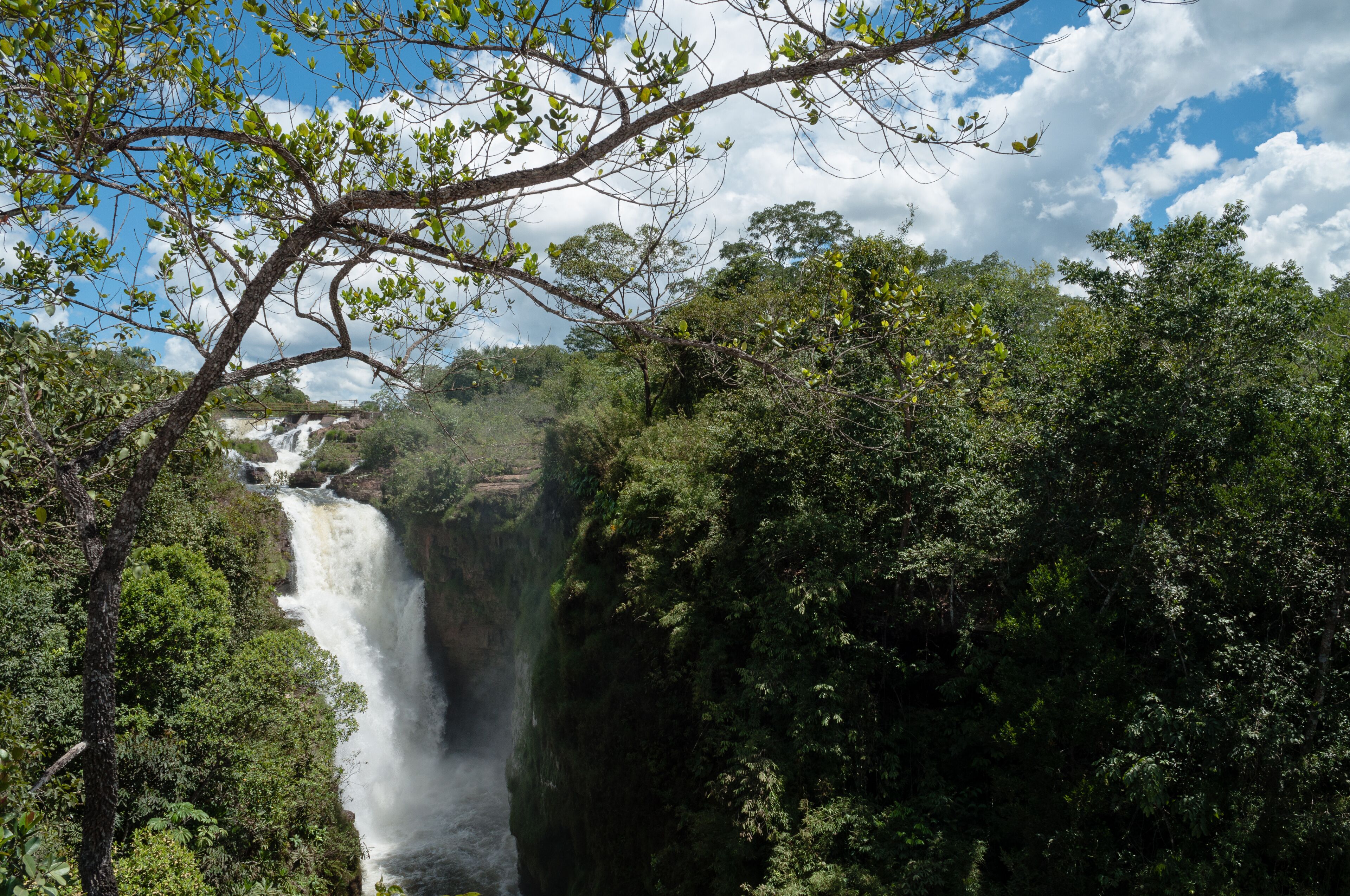 A waterfall surrounded by dense green forest and a clear blue sky.