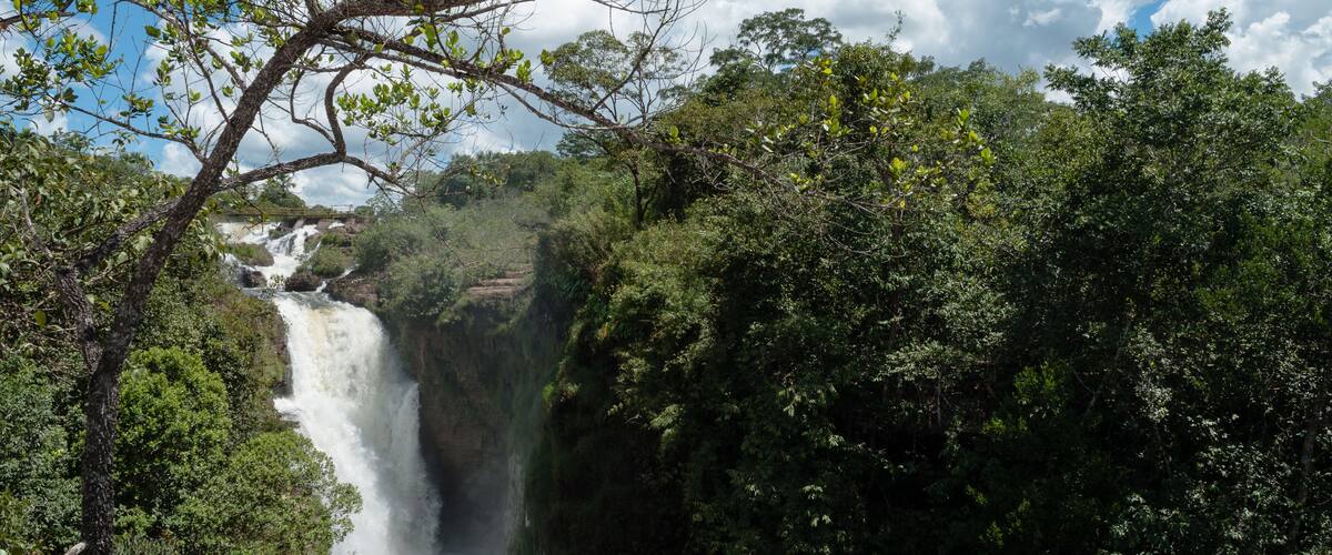 A waterfall surrounded by dense green forest and a clear blue sky.