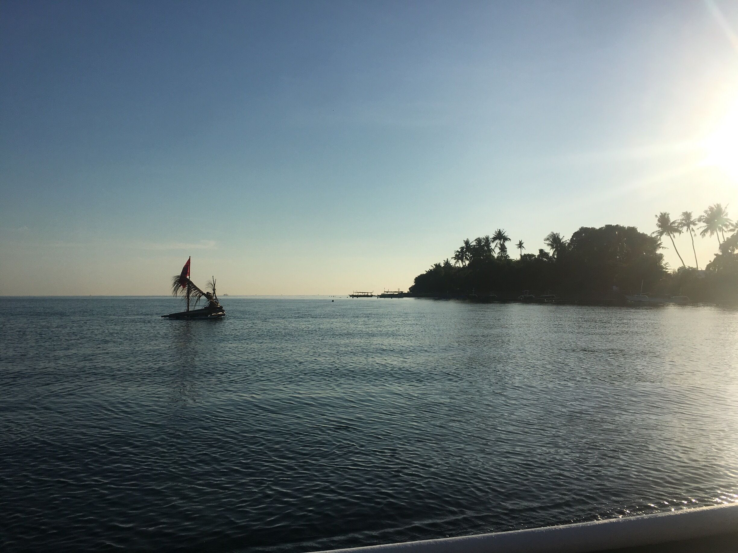 Early morning dolphin watching from fisherman’s boats