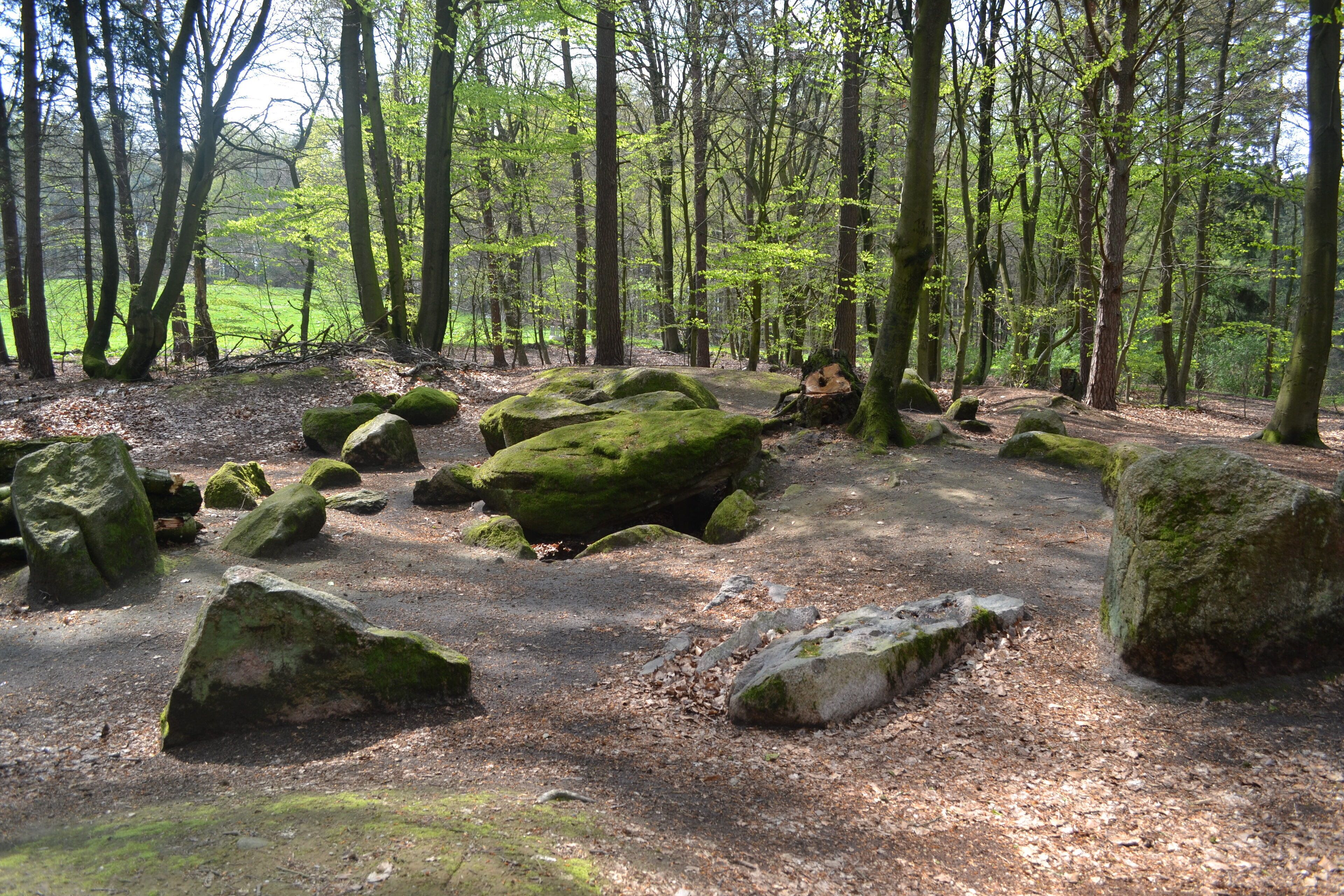 Großsteingrab Raven 1 (Sprockhoff-Nummer 679)