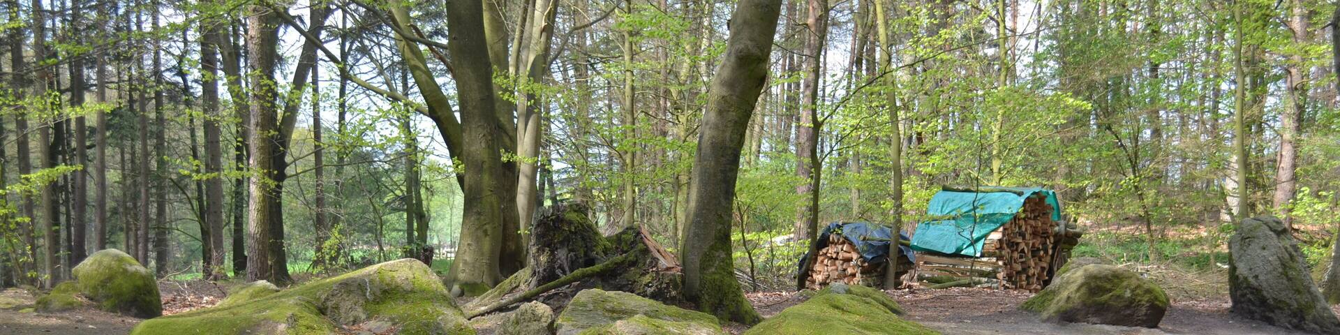 GroĂsteingrab Raven 1 (Sprockhoff-Nummer 679)