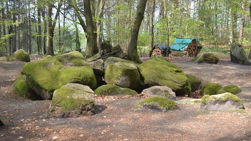 Großsteingrab Raven 1 (Sprockhoff-Nummer 679)