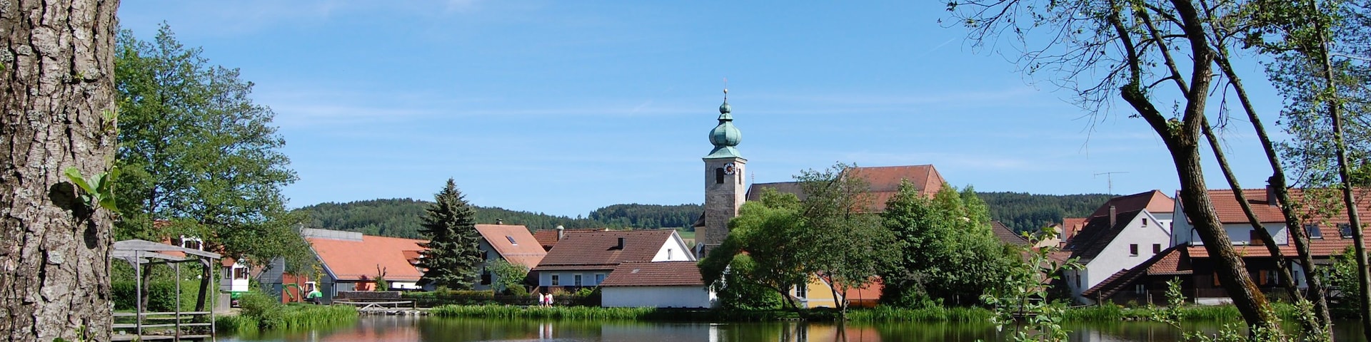 Oberviechtach, Marktweiher mit Pfarrkirche