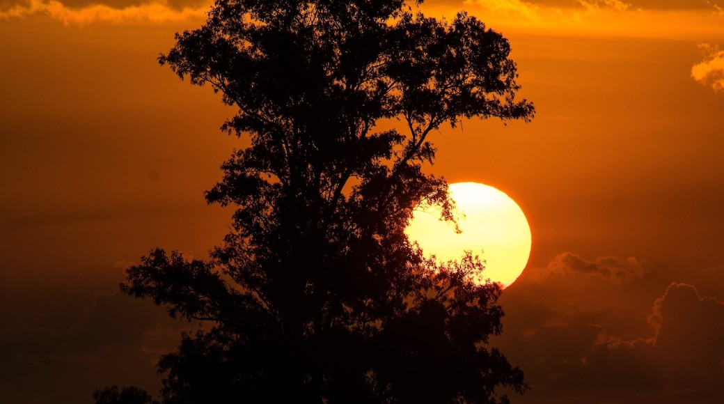 Sunset on the route.
