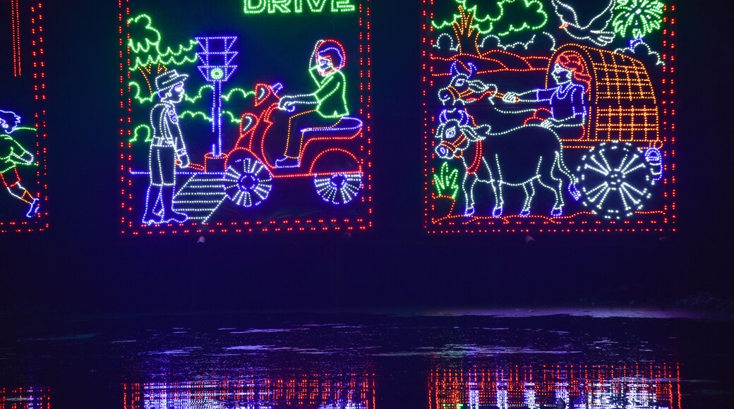 Chandannagar, West Bengal, India November 2018 - Spectacular colourful lighting decoration with LED bulbs during Jagadhatri Puja celebrations. The lighting has reputation in Puja pandals and streets.