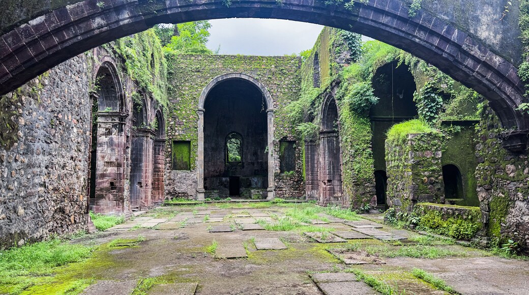 ๋น๋ผ๋ฅด