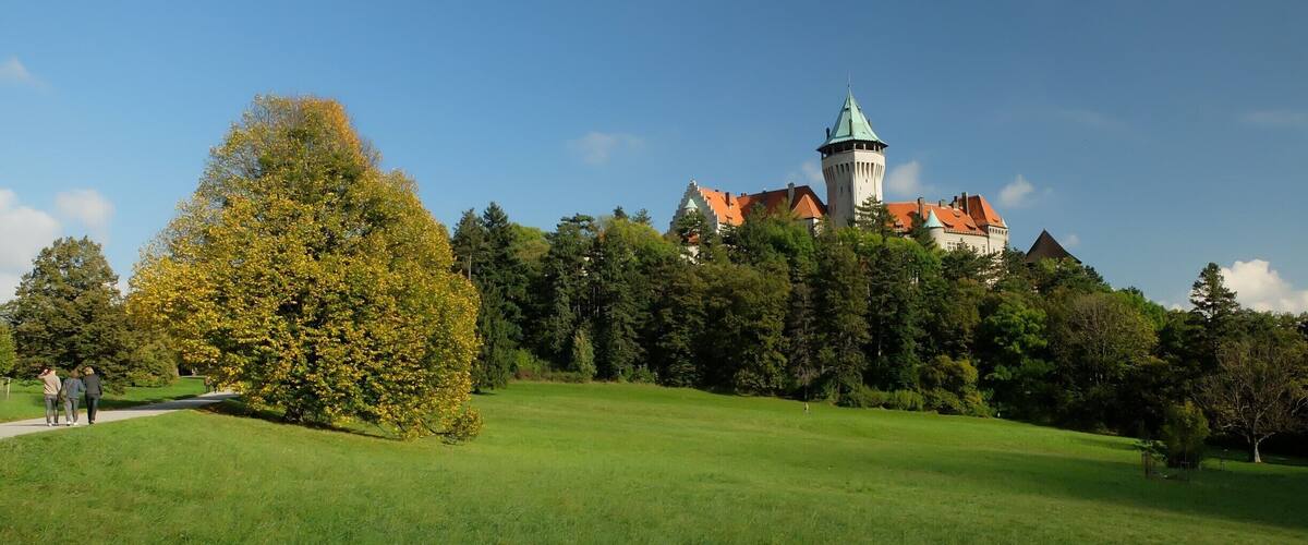 A castle with a tower and red-roofed buildings, surrounded by a grassy park and trees.