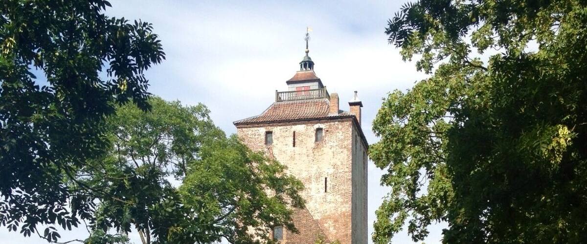 A historic tower surrounded by lush greenery and a pond.