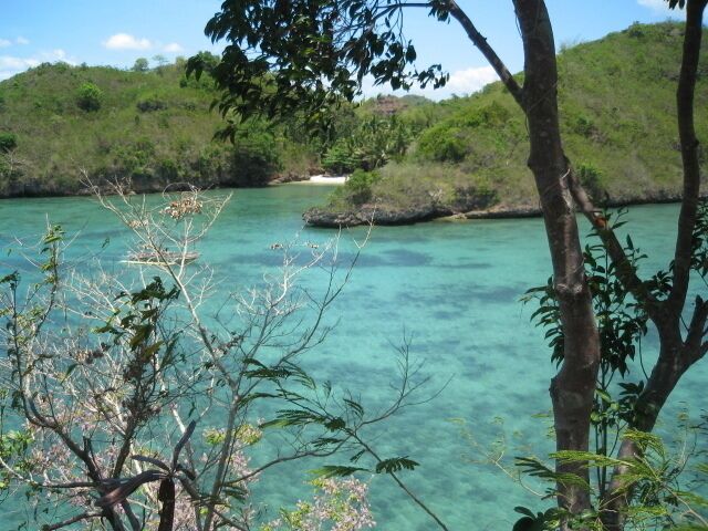 A clear turquoise sea with a sandy beach and lush greenery in the background.