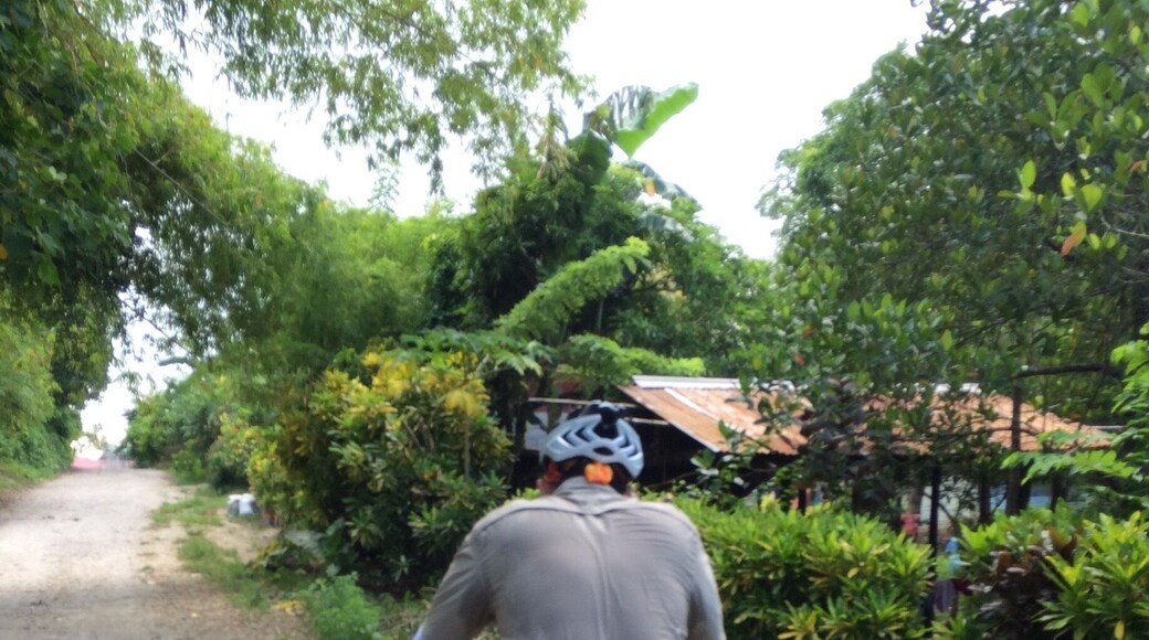 Sweating with surly ogre