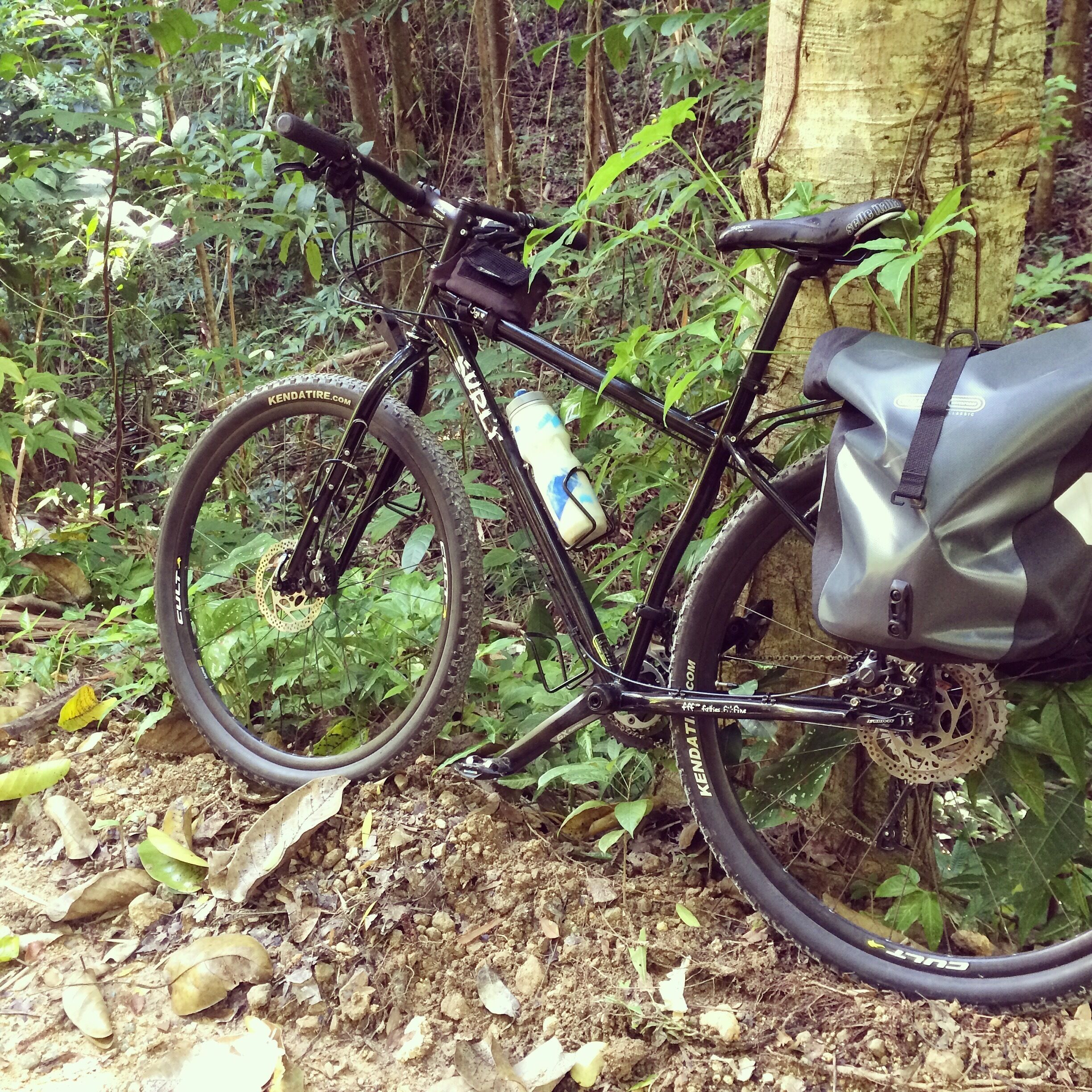 Surly bikepacking