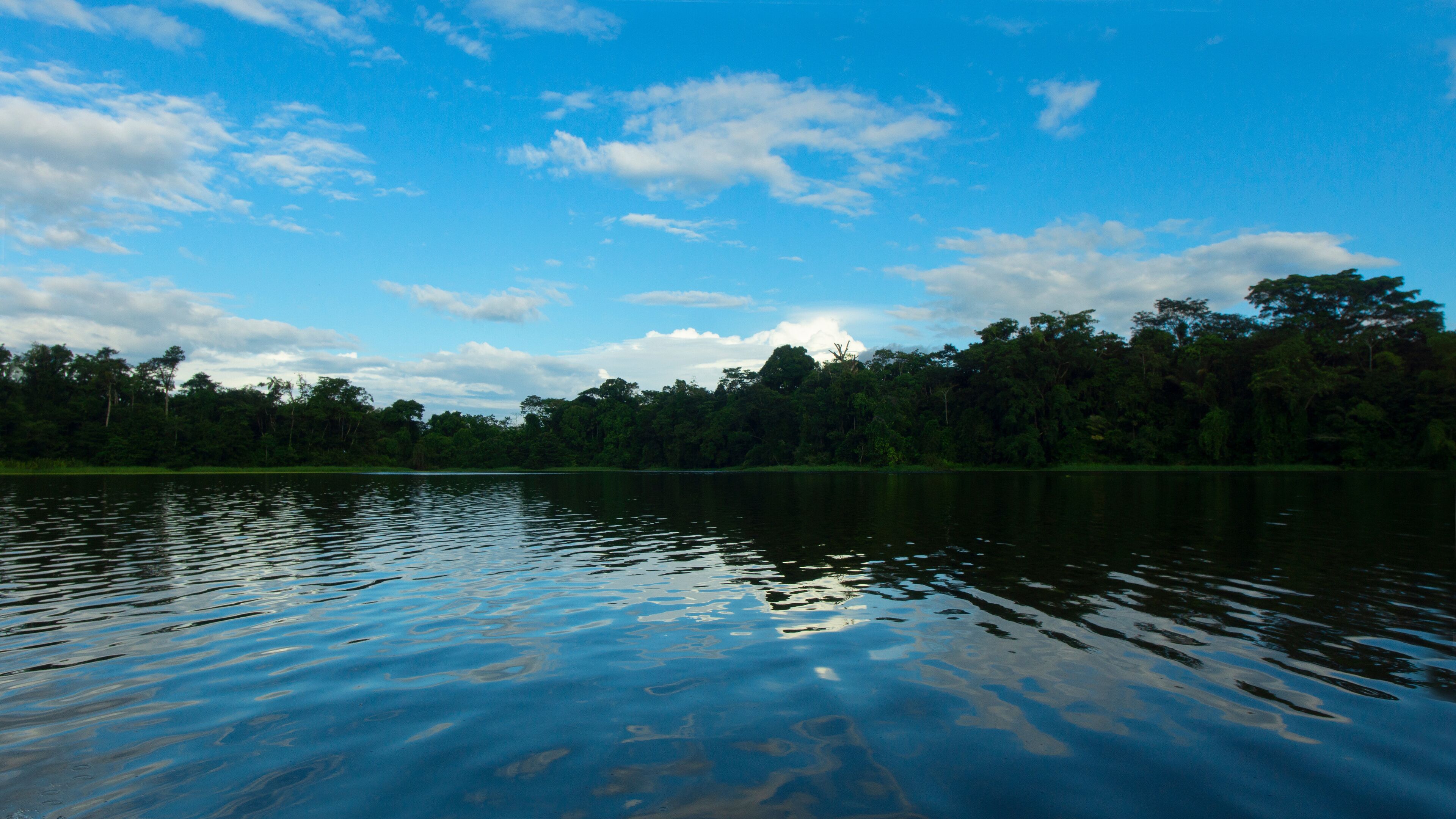 Trees on the shore of the lagoon reflected in the water in the Perla park on the outskirts of the city of Nueva Loja