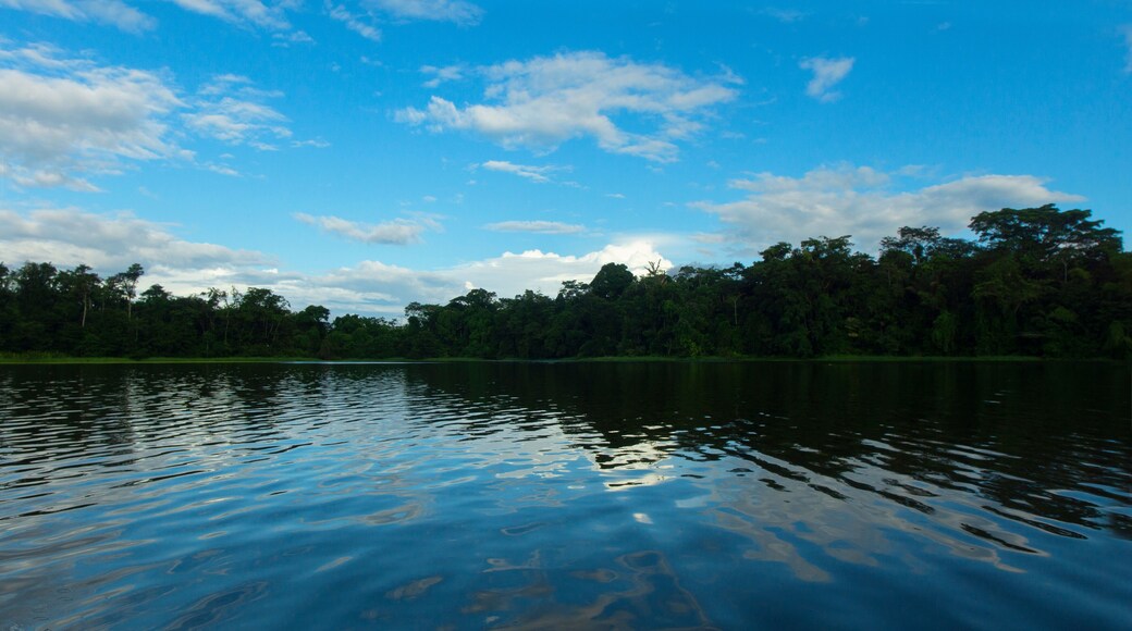 Trees on the shore of the lagoon reflected in the water in the Perla park on the outskirts of the city of Nueva Loja