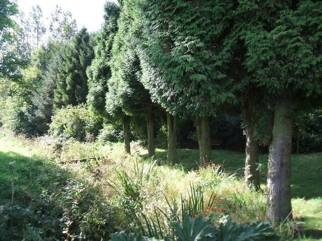 Old Aqueduct The abandoned aqueduct from the waterworks to Throckley taken from the bridge on Oatens Bank.