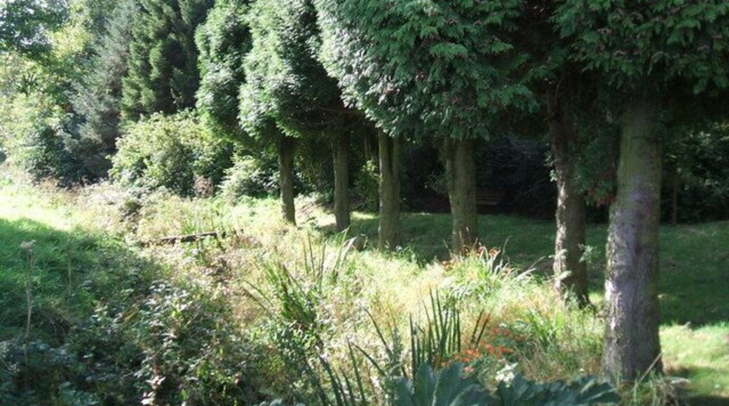 Old Aqueduct The abandoned aqueduct from the waterworks to Throckley taken from the bridge on Oatens Bank.