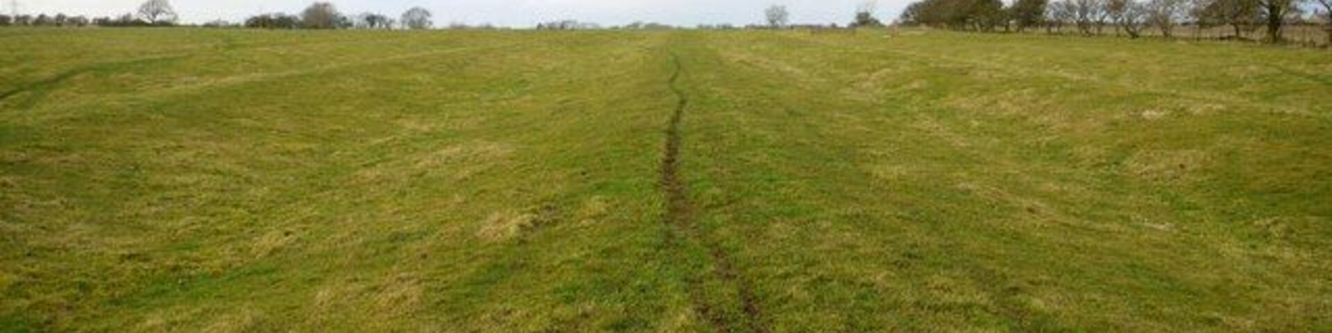 Deep ridge and furrow north of Dalton Preserved in permanent pasture now used to exercise horses