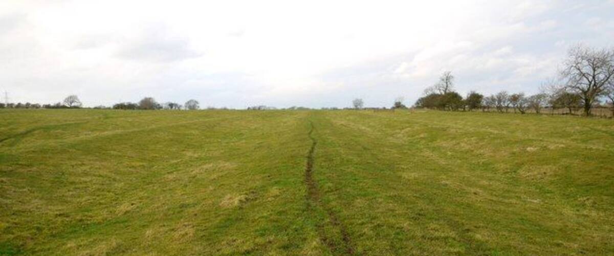 A wide, open field with a visible dirt path.