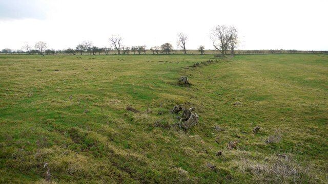 Remains of hedge through ridge and furrow fields