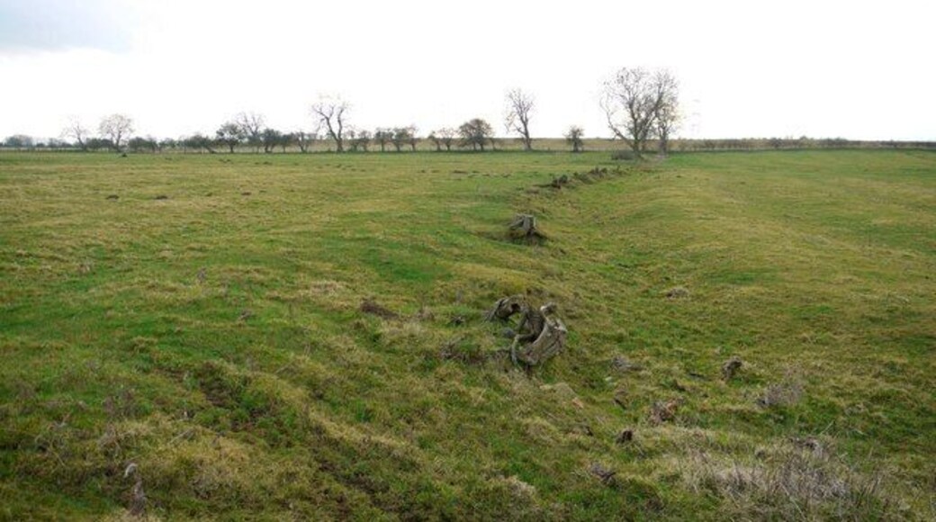 Remains of hedge through ridge and furrow fields