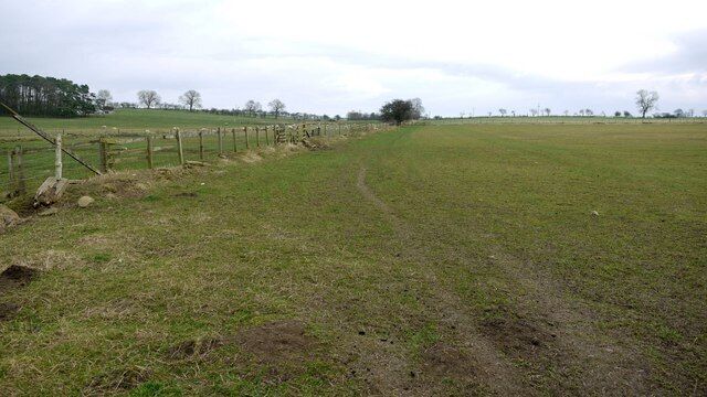 Footpath south-west of Westerheugh The farm is behind the forest plantation on the left hand side