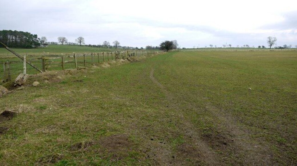 Footpath south-west of Westerheugh The farm is behind the forest plantation on the left hand side
